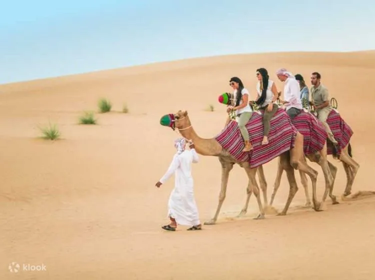 The Desert Safari Dubai Tours