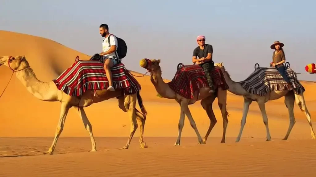 camel ride desert safaries